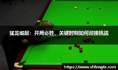 猛龙崛起：开局必胜，关键时刻如何迎接挑战