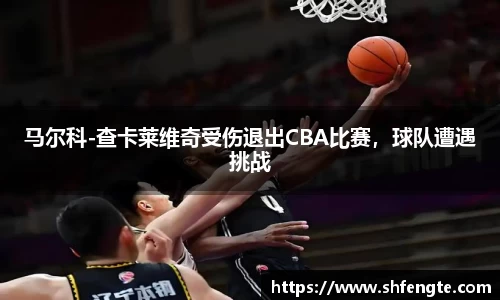 马尔科-查卡莱维奇受伤退出CBA比赛，球队遭遇挑战