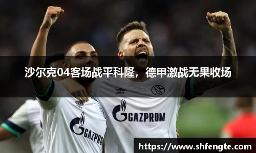 VSport官网