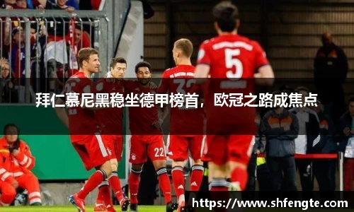 拜仁慕尼黑稳坐德甲榜首，欧冠之路成焦点
