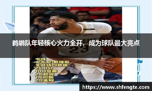 鹈鹕队年轻核心火力全开，成为球队最大亮点