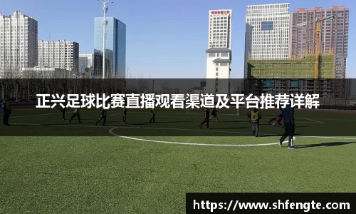 正兴足球比赛直播观看渠道及平台推荐详解