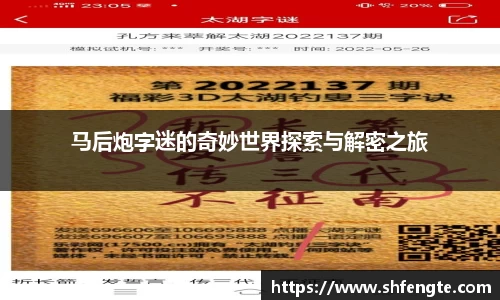 马后炮字迷的奇妙世界探索与解密之旅