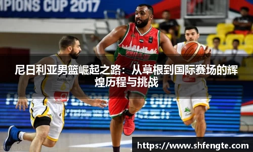 尼日利亚男篮崛起之路：从草根到国际赛场的辉煌历程与挑战