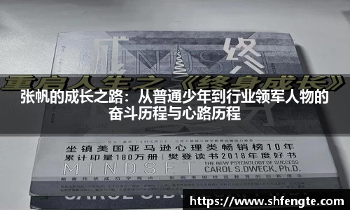 张帆的成长之路：从普通少年到行业领军人物的奋斗历程与心路历程